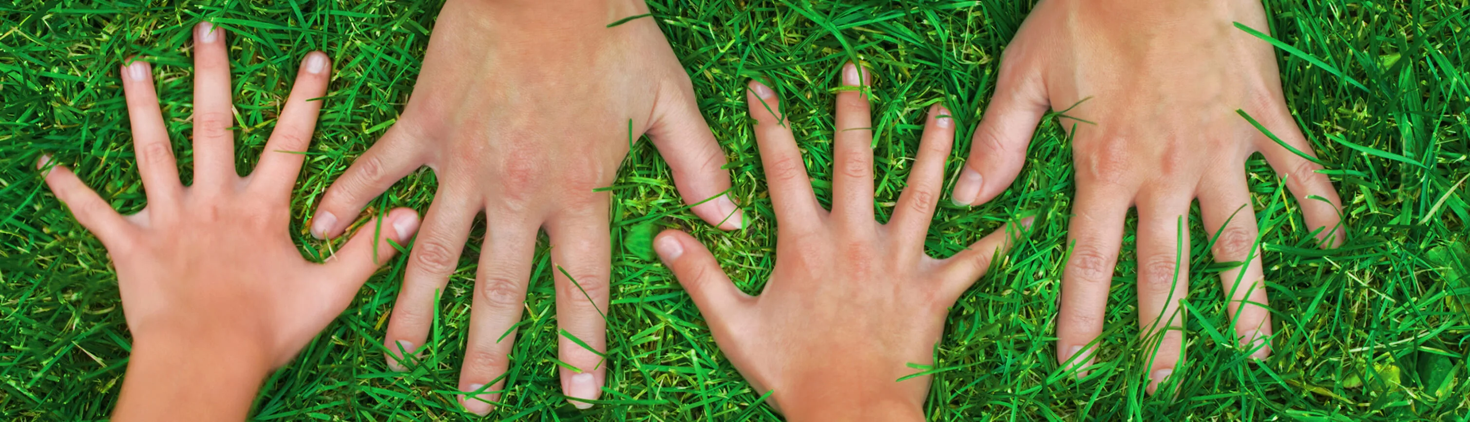 Artificial Playground Grass